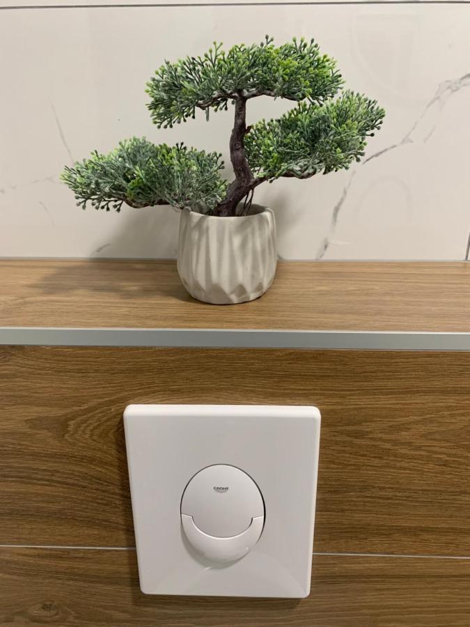 Apartman Geneva 比耶利纳 外观 照片